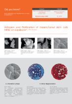 GlassBONE™ Bioglass Bone Substitute-4