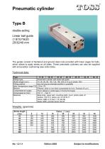 Pneumatic cylinder - 1