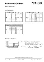 Pneumatic cylinder-5