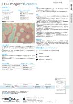CHROMagarTM B.cereus-11