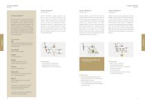 Orthopaedics and Spine Surgery-4