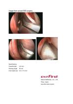 Mie Univ. septum through-cutting forceps Kobayan - 2