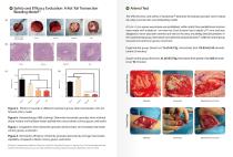 Quickclean Diatomite Hemostatic Granules-5