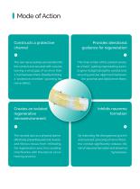 Singclean Peripheral Nerve Guide  Brochure-4