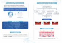 Surgiclean Fibril Absorbable Hemostat Brochure-2