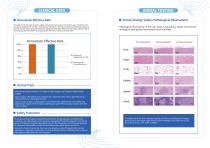 Surgiclean Fibril Absorbable Hemostat Brochure-4