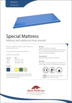 Special Mattress - 1