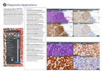 Product Portfolio-11