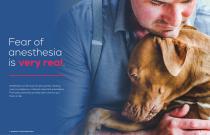 Anesthesia + Monitoring Solutions Brochure-3