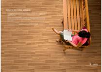 Acoustix fx-6