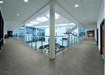 Polysafe Arena PUR-8