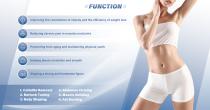 Perfectlaser Z900 EMS Slimming Machine-4