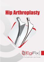 Egifix Hip Arthroplasty Catalogue