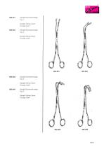 Bile and kidney - 1