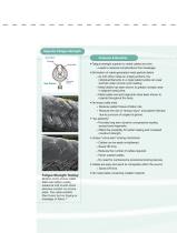 SuperCable Brochure-3