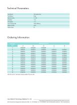 Coronary stent H-Stent™-2