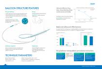 PTCA catheter Vesselin®-2