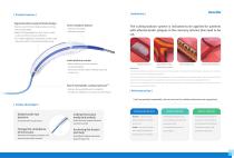 Vesscide™ Cutting Balloon System-2