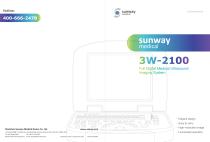 3W-2100-1