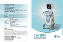 3W-5000-1