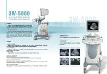 3W-5000-2