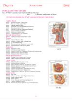 Anatomy Charts-10