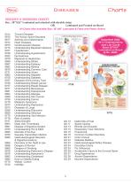 Anatomy Charts-11