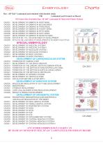 Anatomy Charts-12