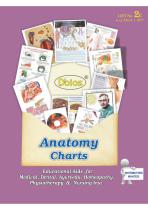Anatomy Charts-2