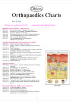 Anatomy Charts-3