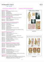 Anatomy Charts-4