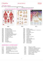 Anatomy Charts-8
