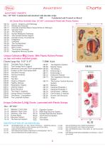 Anatomy Charts-9