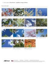 MedMaster CleanScene™ Image Gallery-7