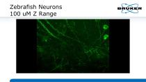 Multidimensional_Imaging_for_Complete_Investigation_of_Cellular_Events-16