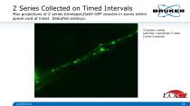 Multidimensional_Imaging_for_Complete_Investigation_of_Cellular_Events-18
