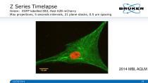 Multidimensional_Imaging_for_Complete_Investigation_of_Cellular_Events-19