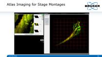 Multidimensional_Imaging_for_Complete_Investigation_of_Cellular_Events-21