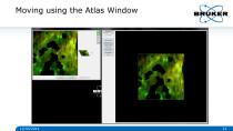 Multidimensional_Imaging_for_Complete_Investigation_of_Cellular_Events-22
