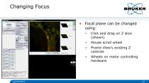 Multidimensional_Imaging_for_Complete_Investigation_of_Cellular_Events-23