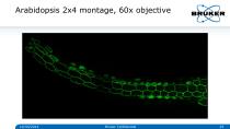Multidimensional_Imaging_for_Complete_Investigation_of_Cellular_Events-25