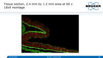 Multidimensional_Imaging_for_Complete_Investigation_of_Cellular_Events-26
