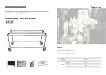 GA309 Mortuary Freezer-6