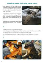 THE AIRNERGY STREAM - The Highlight for your best Friend-4