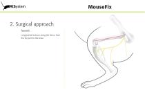 MouseFix-6