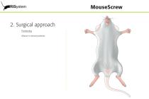 MouseScrew-5