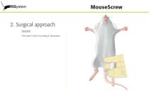 MouseScrew-6