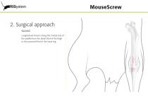 MouseScrew-7