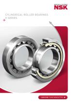 CYLINDRICAL ROLLER BEARINGS E SERIES - 1