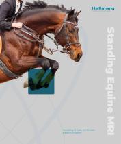 Standing Equine MRI Sales Brochure-1